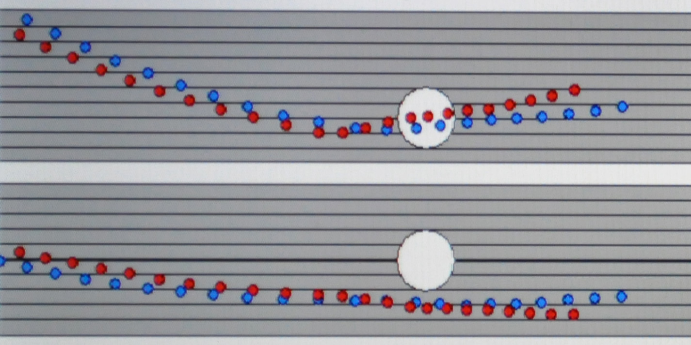 大山さんヘッド軌道 受講前 