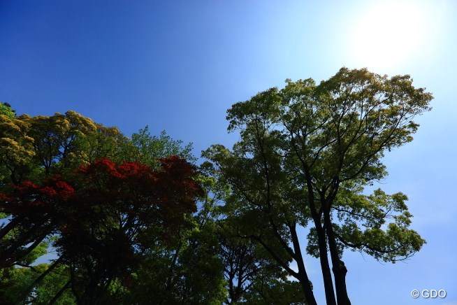 2014年 中日クラウンズ 最終日 林