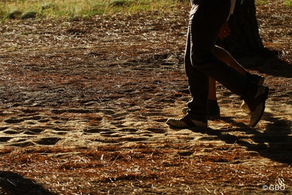 2014年 全米オープン 初日 砂 コースのある土地は砂地。カート道も砂地で歩きにくい