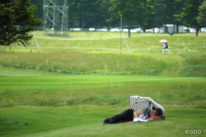 どうせなら日陰に寝転ばれては？ 2014年 長嶋茂雄 INVITATIONAL セガサミーカップゴルフトーナメント 初日 ギャラリー