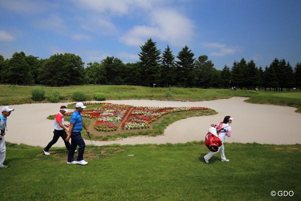 2014年 長嶋茂雄 INVITATIONAL セガサミーカップゴルフトーナメント 3日目 7番 この北海道のお花畑、、、もっと上から見たいのだ。