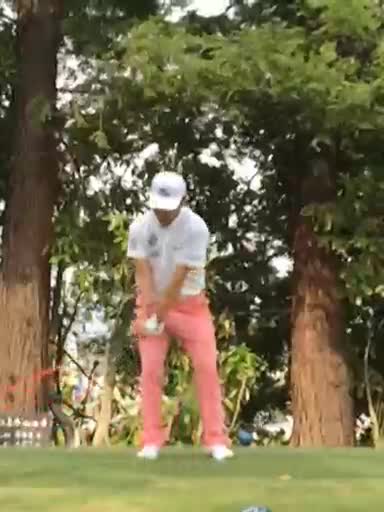 手嶋多一のスイングをスーパースローで見る