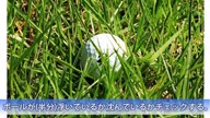 夏ラフ対策「浮いてるor沈んでる？」 金澤志奈【女子プロ・ゴルフレスキュー】