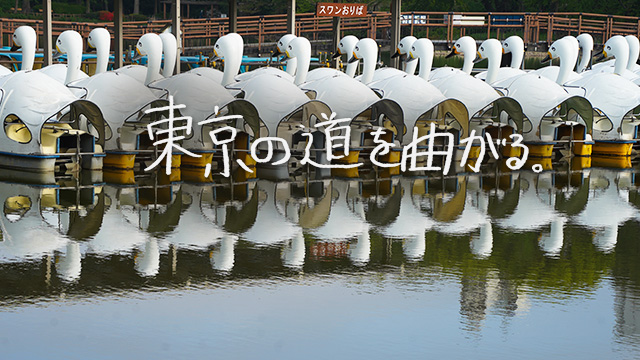 早朝6時に井の頭公園を歩く