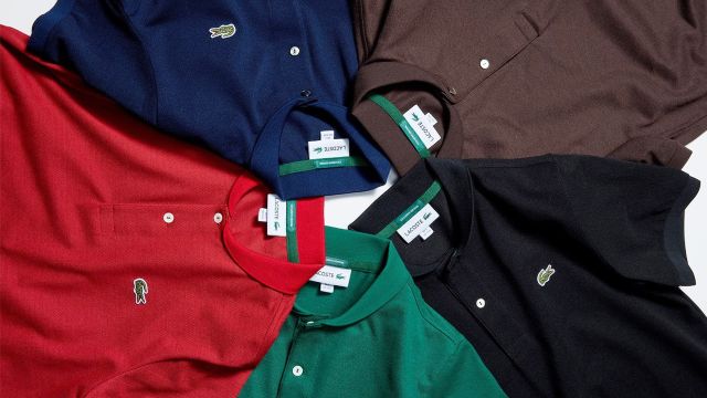 そのワニ、よく見ると！？