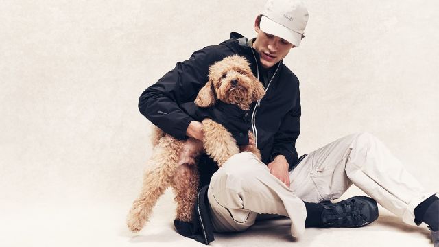 イヌトモから羨望の眼差し