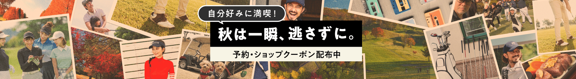 今秋、楽しみが盛りだくさん