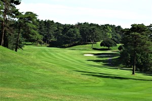 桜ゴルフ倶楽部