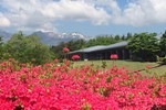 那須ちふり湖カントリークラブ