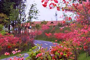 日光霧降カントリークラブ