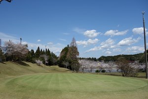 大網グリーンゴルフ