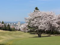 桜ヶ丘カントリークラブ