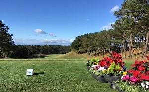 宮崎国際ゴルフ倶楽部 【PGM】