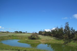 サシバリンクス伊良部