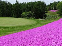 岩見沢パブリック雉ヶ森ゴルフコース