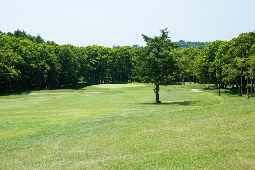 大沼国際カントリークラブ 画像3
