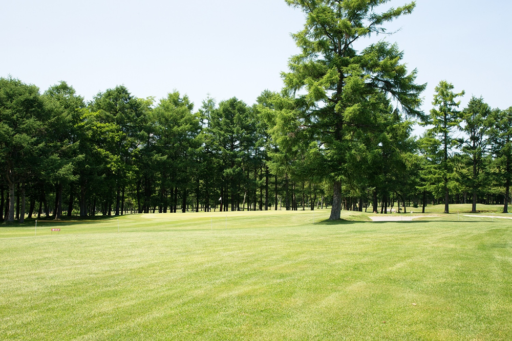大沼国際カントリークラブ 画像7