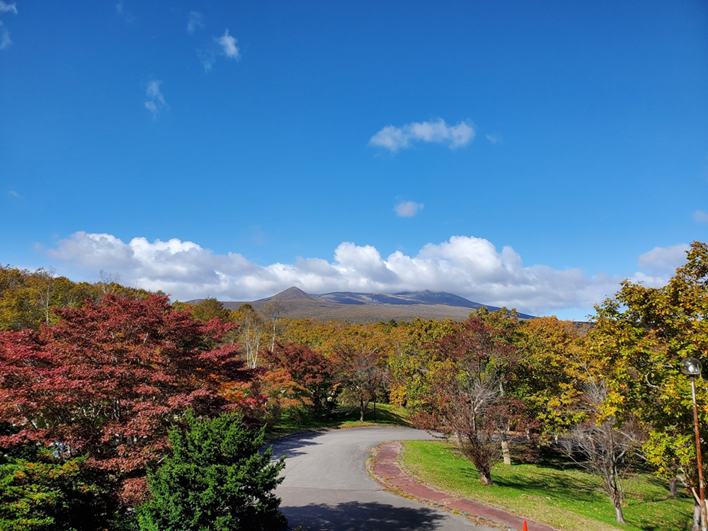 大沼国際カントリークラブ 画像6