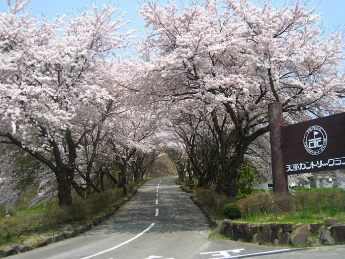 天童カントリークラブ 画像5