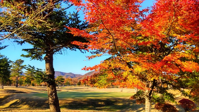 大玉カントリークラブ 画像4