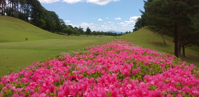大玉カントリークラブ 画像6