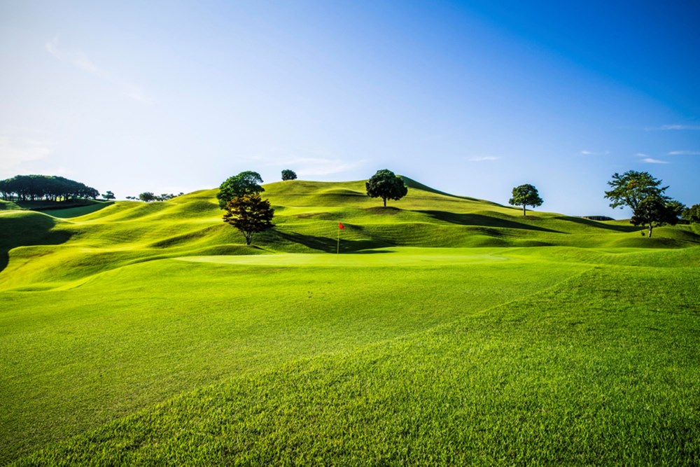 新・西山荘カントリー倶楽部 画像4