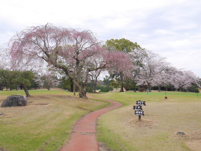 ダイヤグリーン倶楽部 画像3