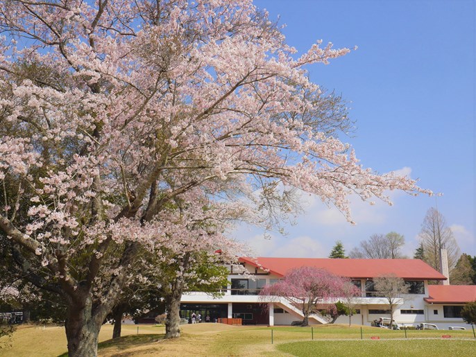 ダイヤグリーン倶楽部 画像1