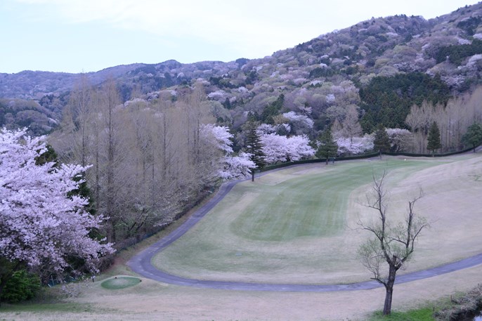 筑波国際カントリークラブ 画像5