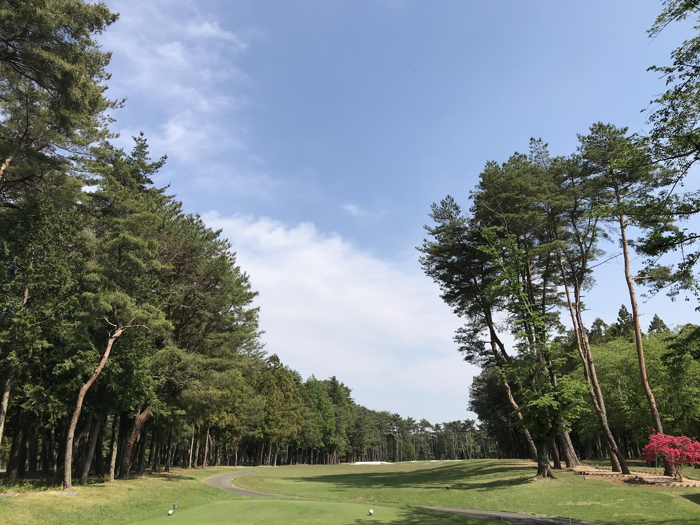 フレンドシップカントリークラブを予約する｜GDOゴルフ場予約