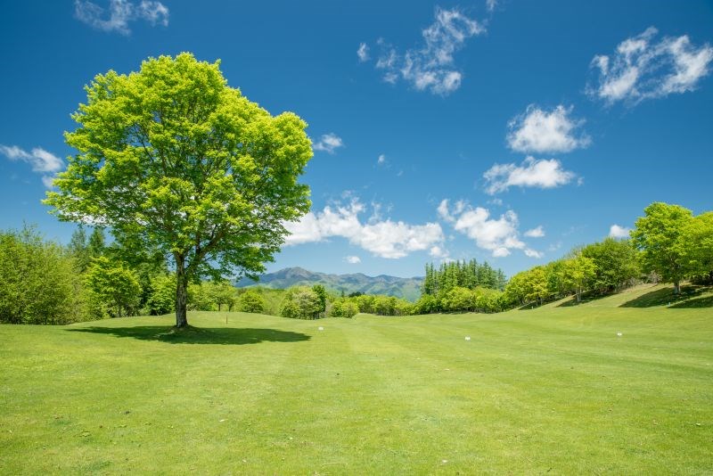 きぬがわ高原カントリークラブ 画像1