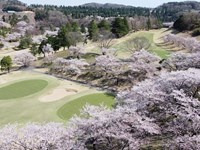 都賀カンツリー倶楽部