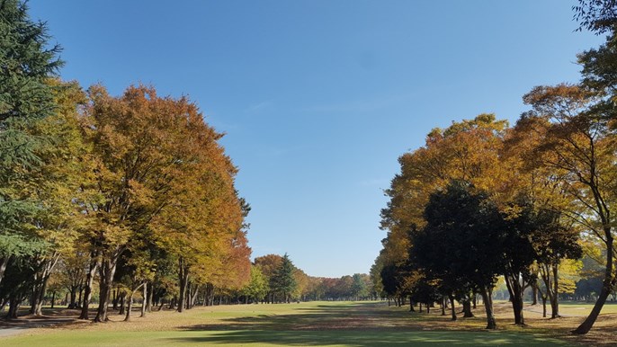 玉村ゴルフ場 画像7