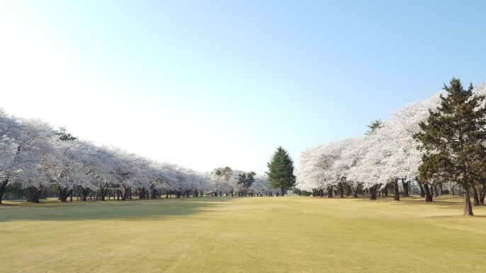 玉村ゴルフ場 画像5