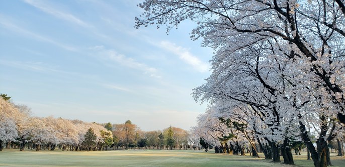 玉村ゴルフ場 画像3