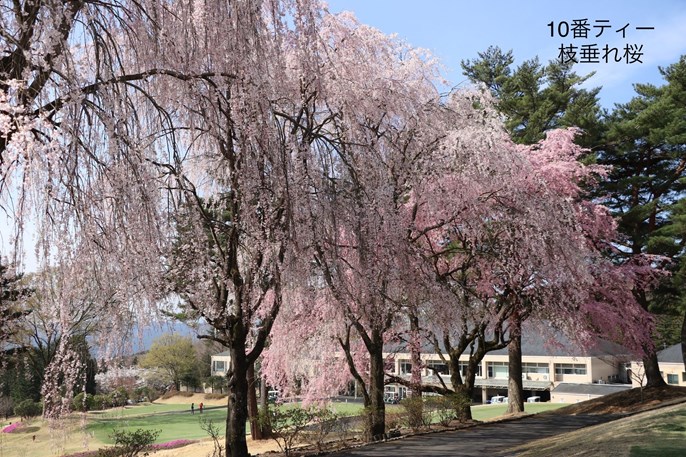 JGMベルエアゴルフクラブ（ベルエアCC） 画像2