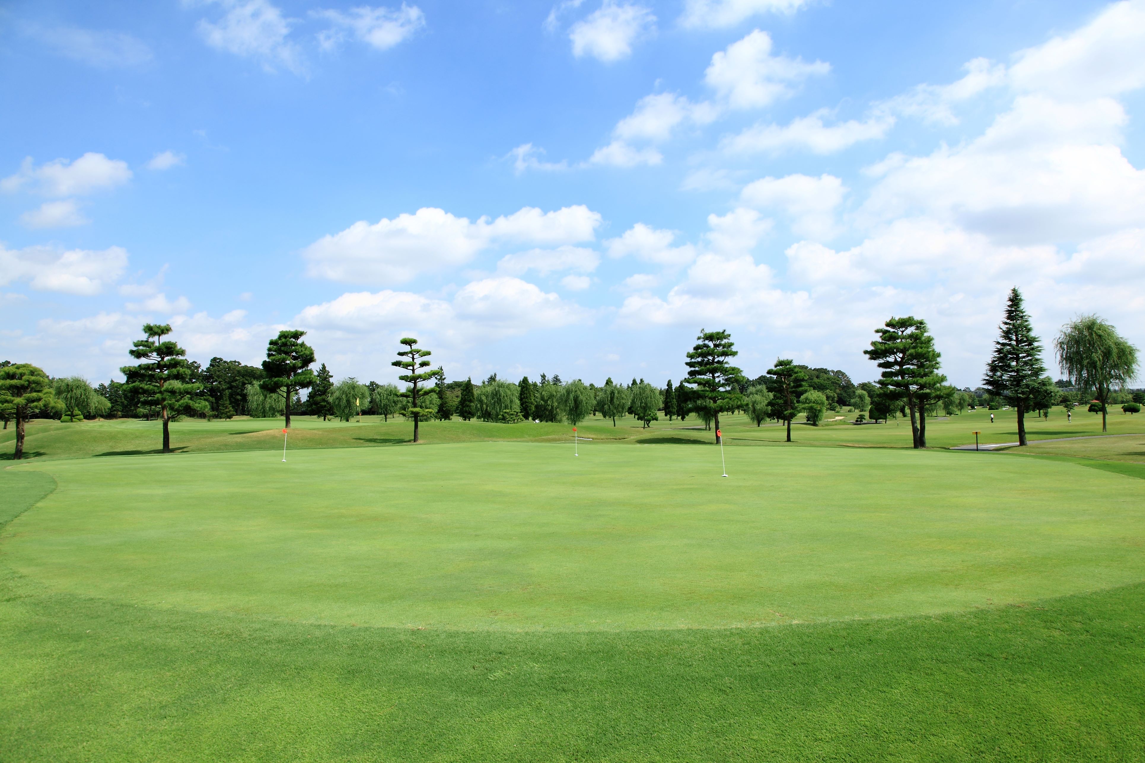 川越グリーンクロス 【PGM】【閉鎖】を予約する｜GDOゴルフ場予約