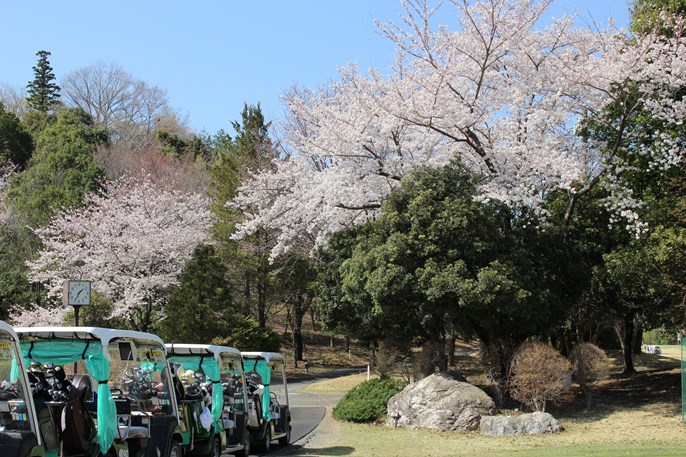 玉川カントリークラブ【アコーディア】 画像10