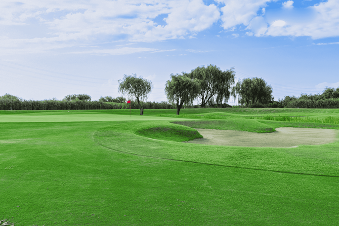 ＫＯＳＨＩＧＡＹＡ ＧＯＬＦ ＣＬＵＢ 【PGM】 画像7