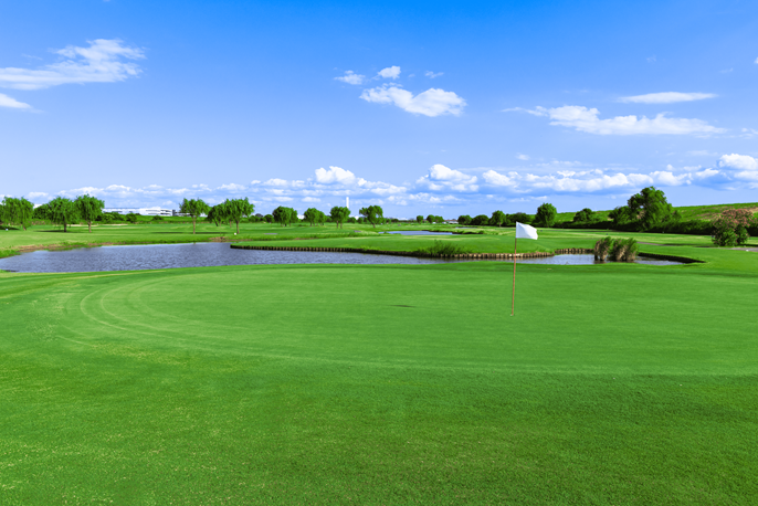 ＫＯＳＨＩＧＡＹＡ ＧＯＬＦ ＣＬＵＢ 【PGM】 画像3