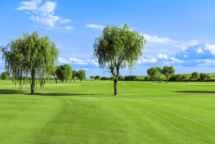 ＫＯＳＨＩＧＡＹＡ ＧＯＬＦ ＣＬＵＢ 【PGM】 画像4