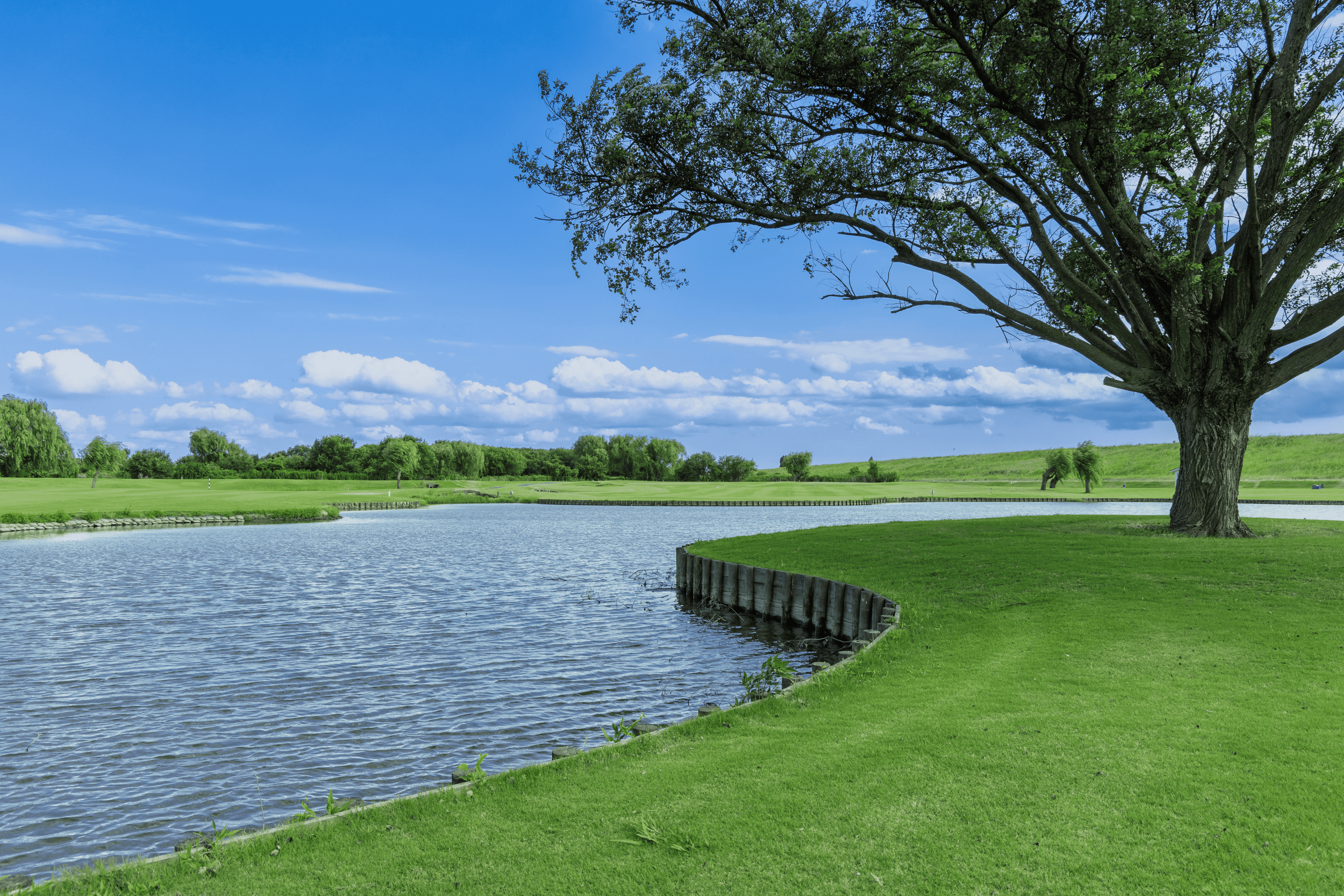 KOSHIGAYA GOLF CLUB 【PGM】を予約する｜GDOゴルフ 