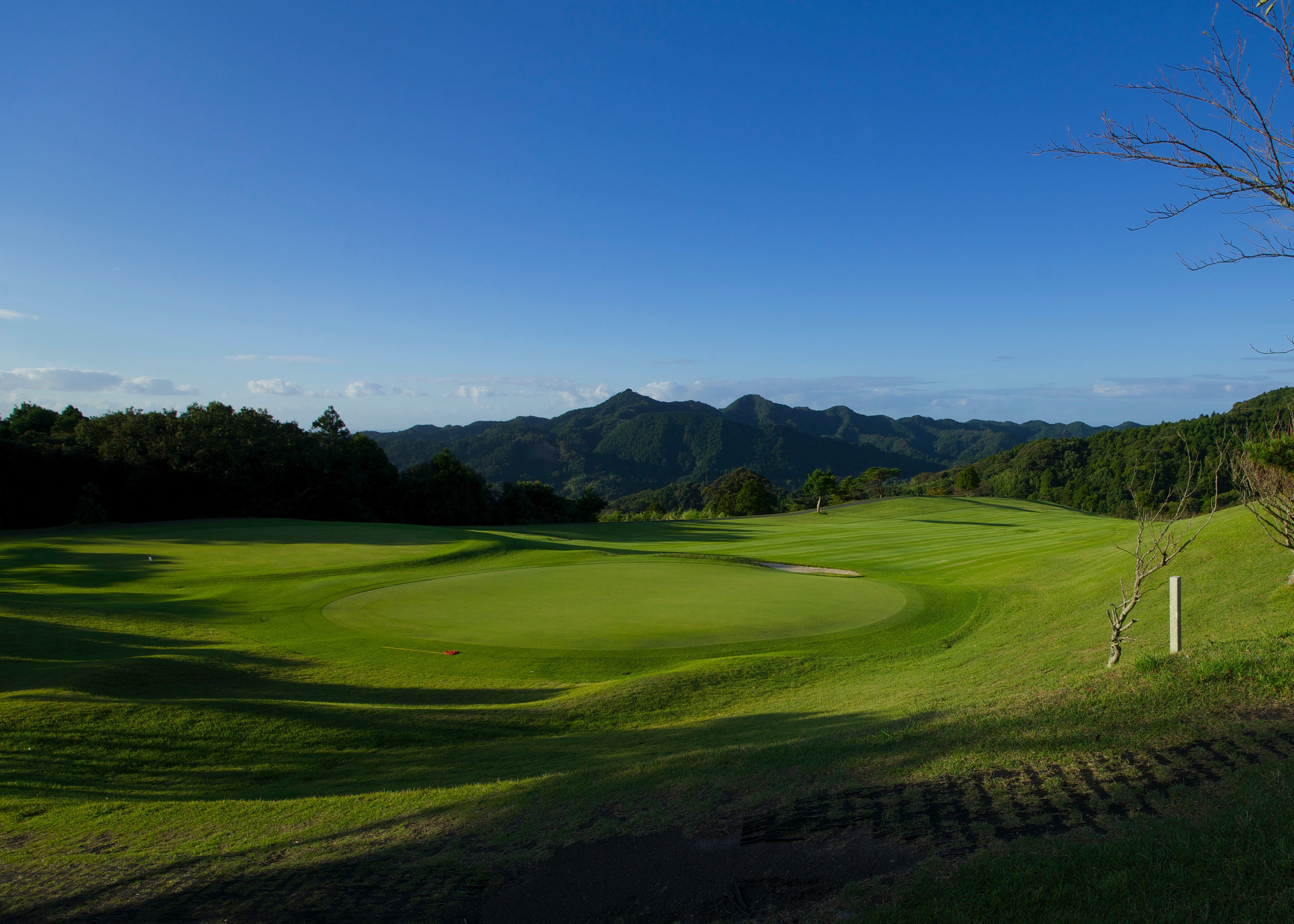 コスモクラシッククラブ