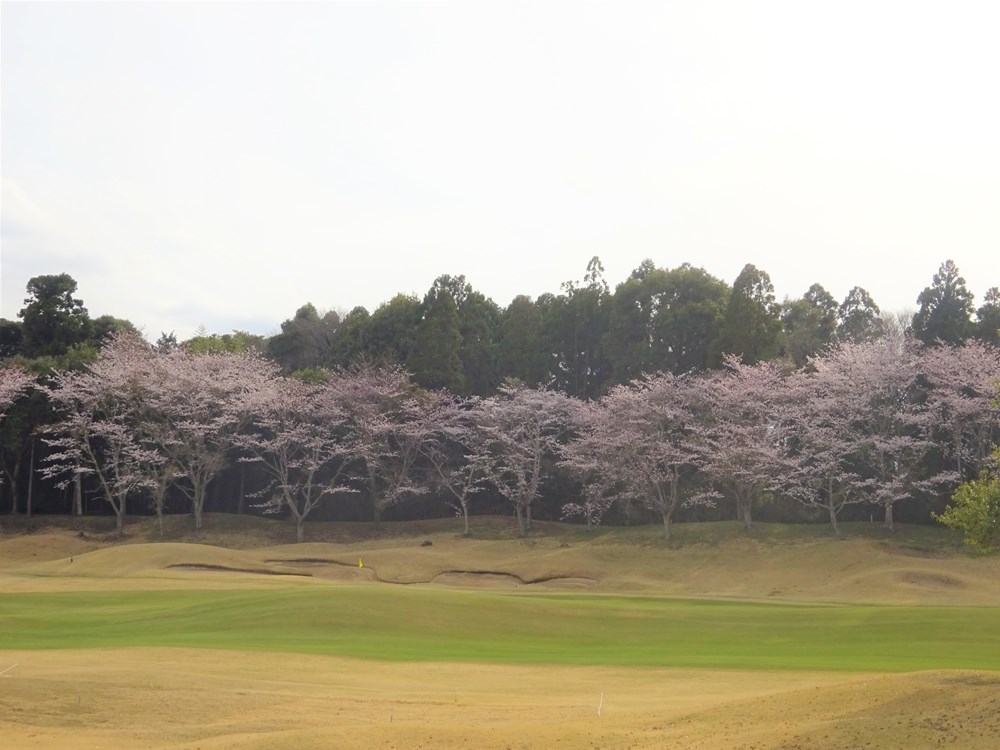 小見川東急ゴルフクラブ 画像4