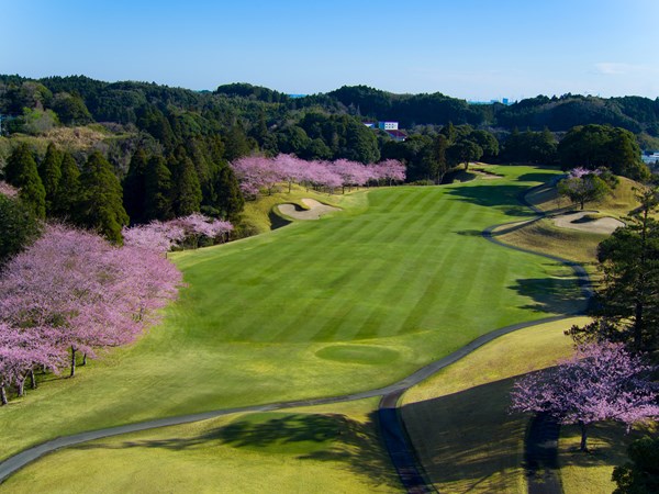 千葉桜の里ゴルフクラブ【アコーディア】（千葉県）