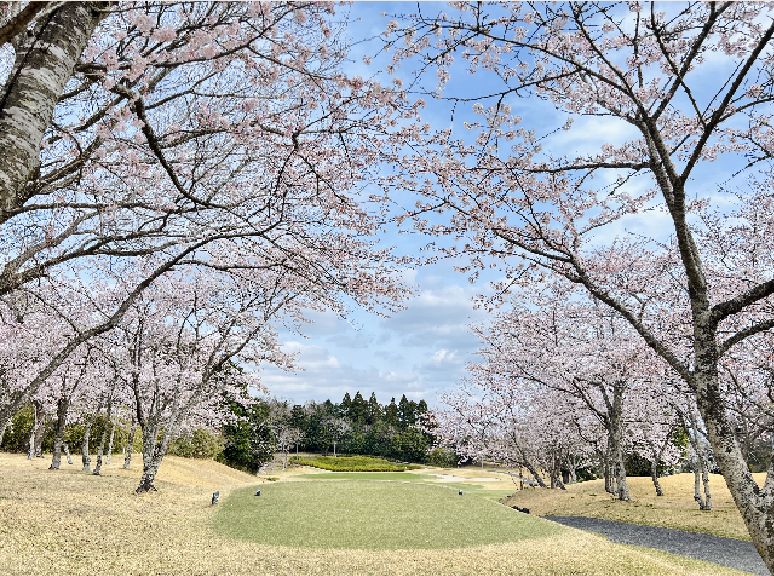 ヌーヴェルゴルフ倶楽部金谷郷コース 画像4