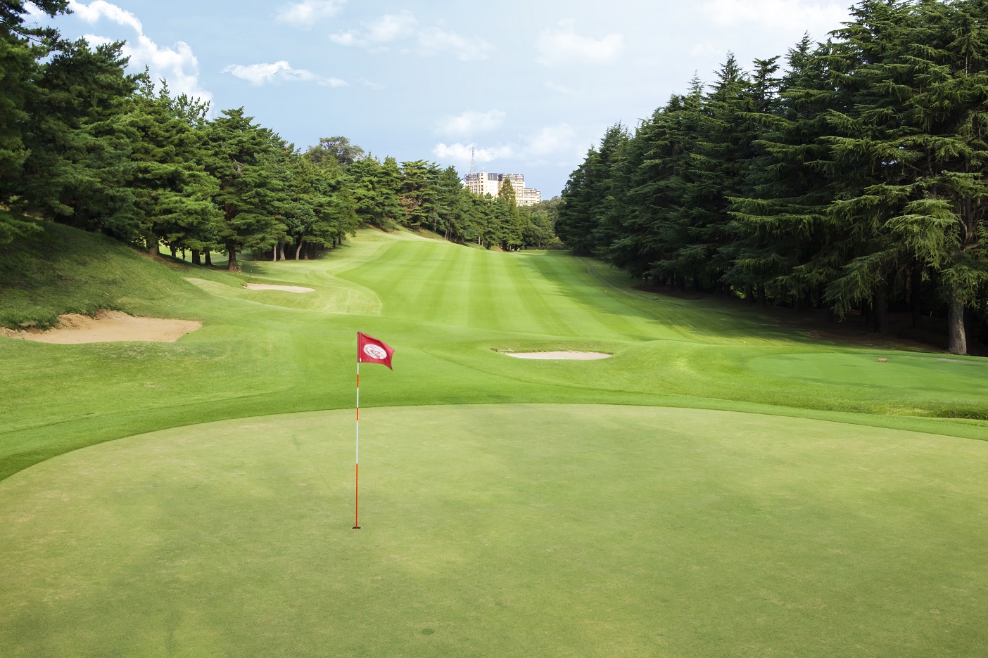 川崎 国際 生田 緑地 ゴルフ 場