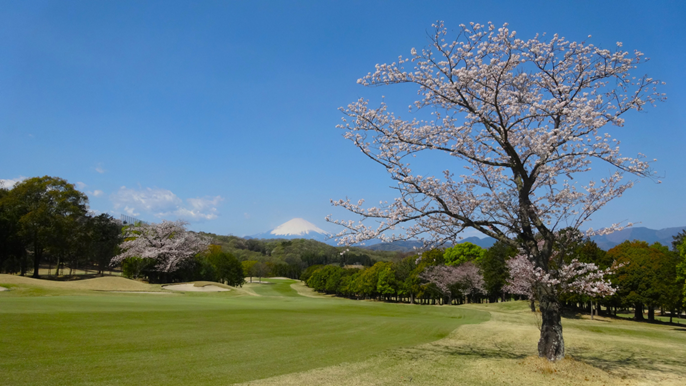 レイクウッドゴルフクラブ 画像4