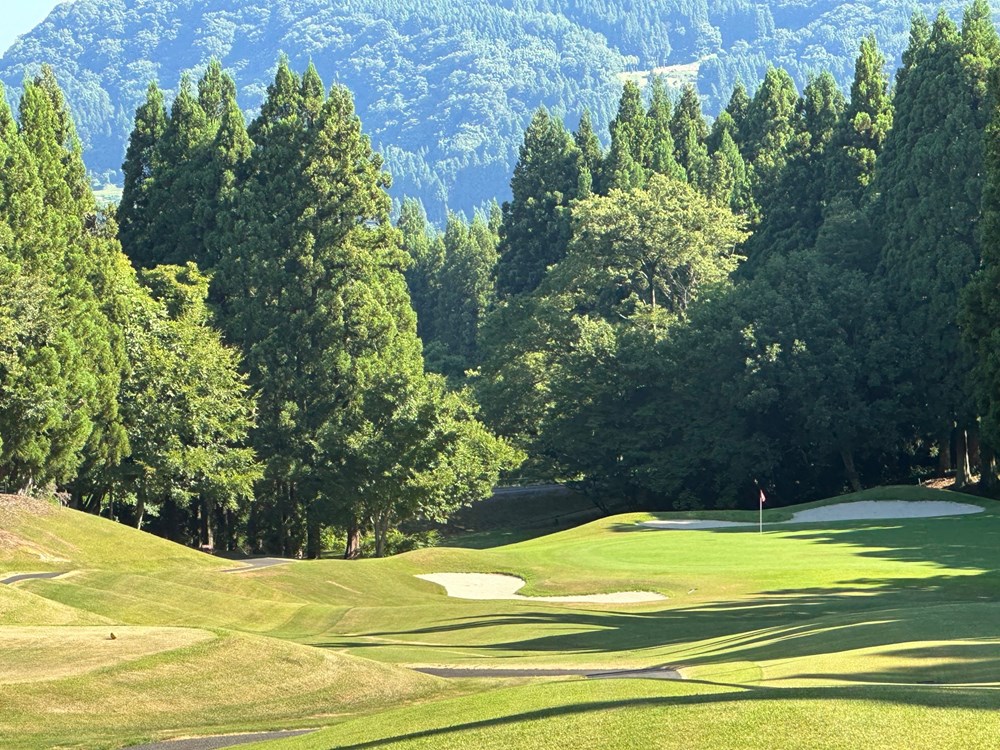 グリーンメッセ能生 画像6