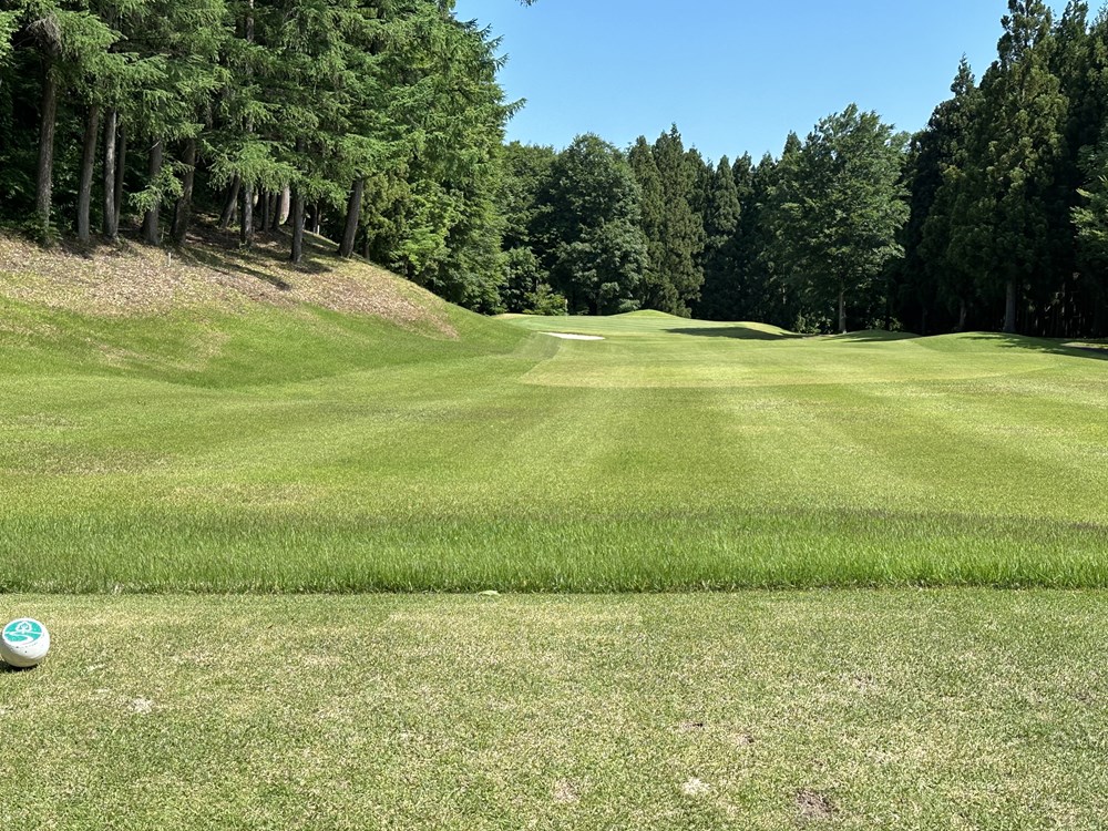 グリーンメッセ能生 画像7